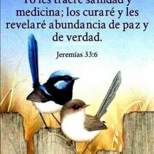 Meet your Posher, Rosio